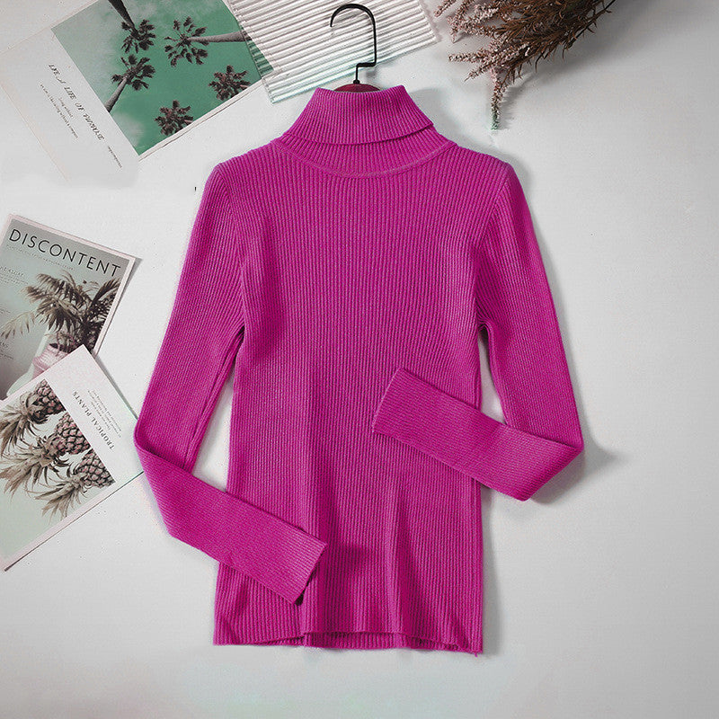 Solid Ribbed Turtleneck Sweater