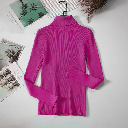 Solid Ribbed Turtleneck Sweater