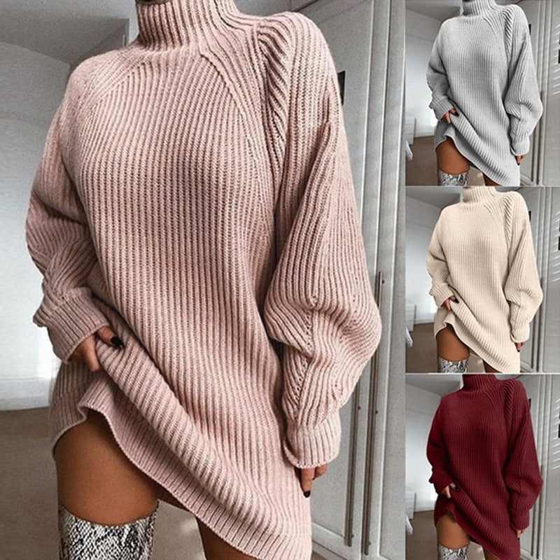 Winter Turtleneck Sweater Dress