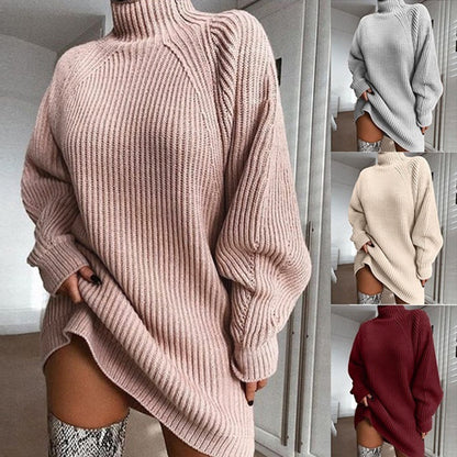 Winter Turtleneck Sweater Dress