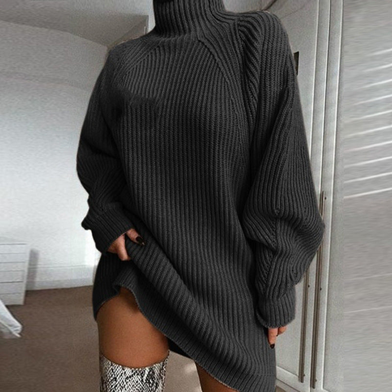 Winter Turtleneck Sweater Dress