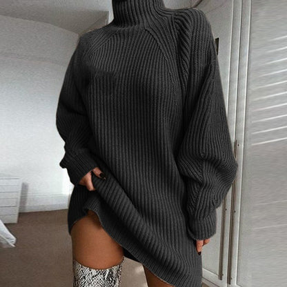 Winter Turtleneck Sweater Dress