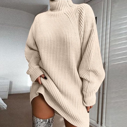 Winter Turtleneck Sweater Dress