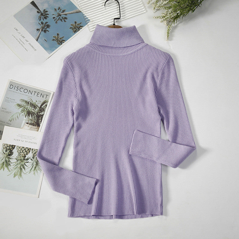 Solid Ribbed Turtleneck Sweater