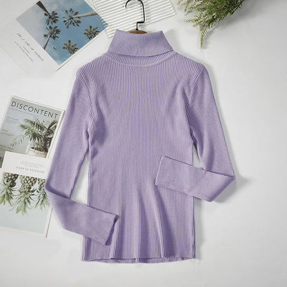 Solid Ribbed Turtleneck Sweater