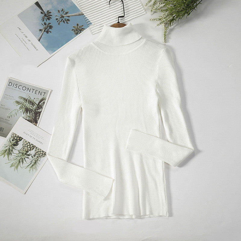 Solid Ribbed Turtleneck Sweater